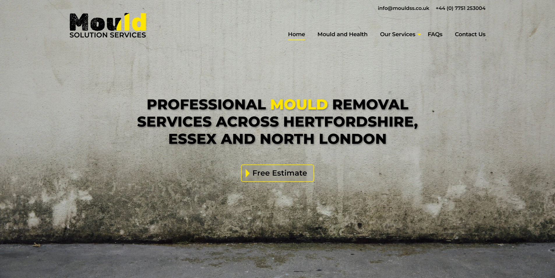 Mould Solution Services