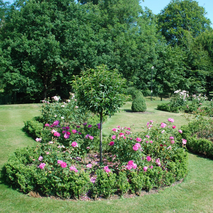 hertford-castle-garden