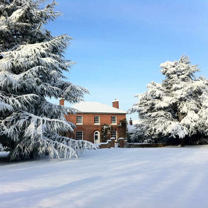 Orchards In The Winter